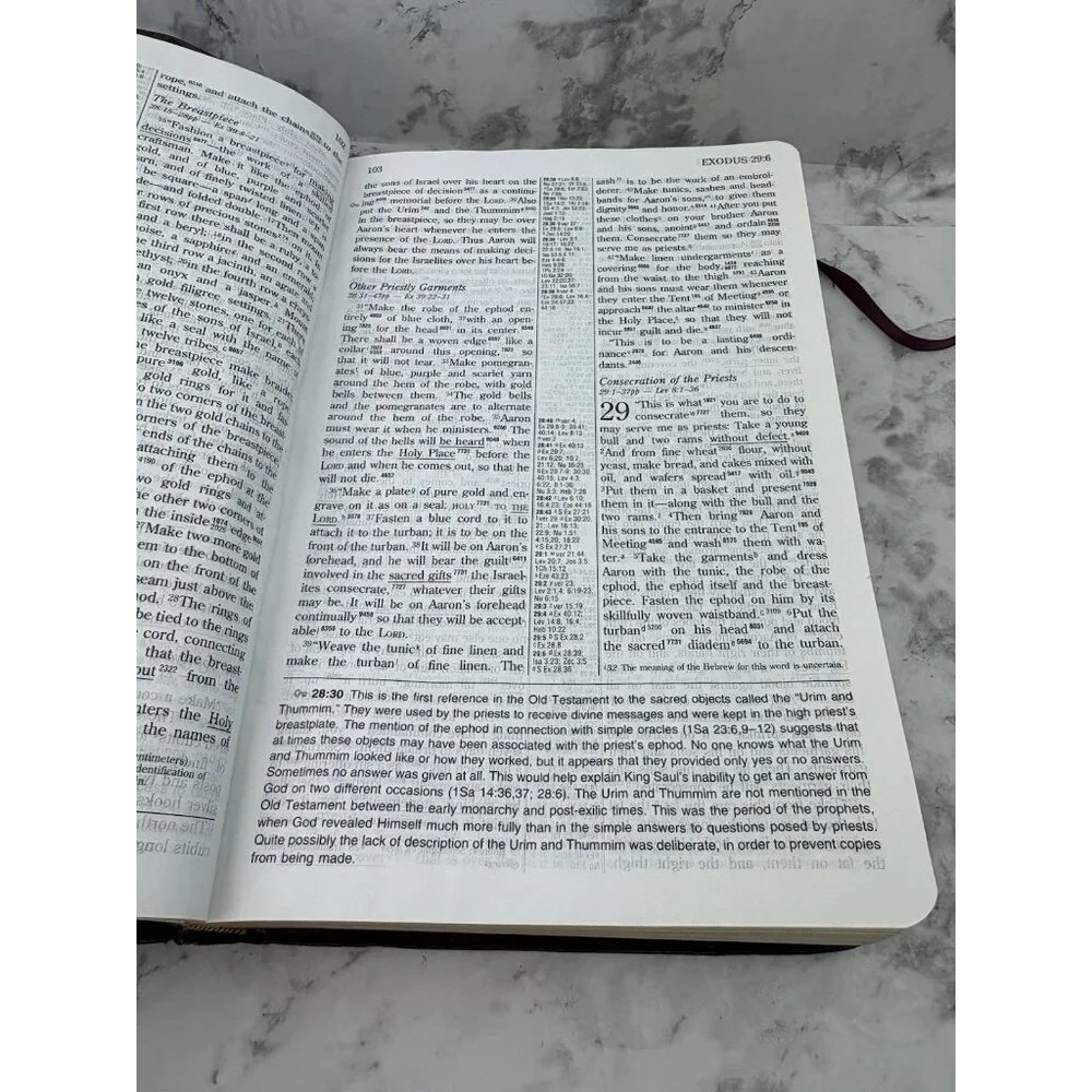 *Key Word Study Bible New International Version Red Letter Edition Red Leather